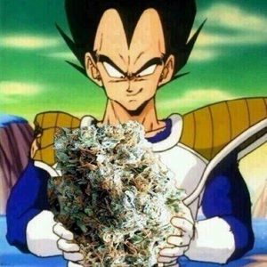 Meet your Posher, Jon